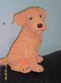 POODLE PEQUENO SALMON